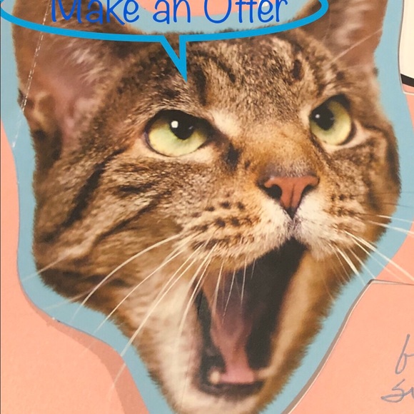 Meet your Posher, Gigi - Picture 3 of 4